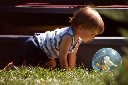 [Photograph: Through My Grandfather's Lens]